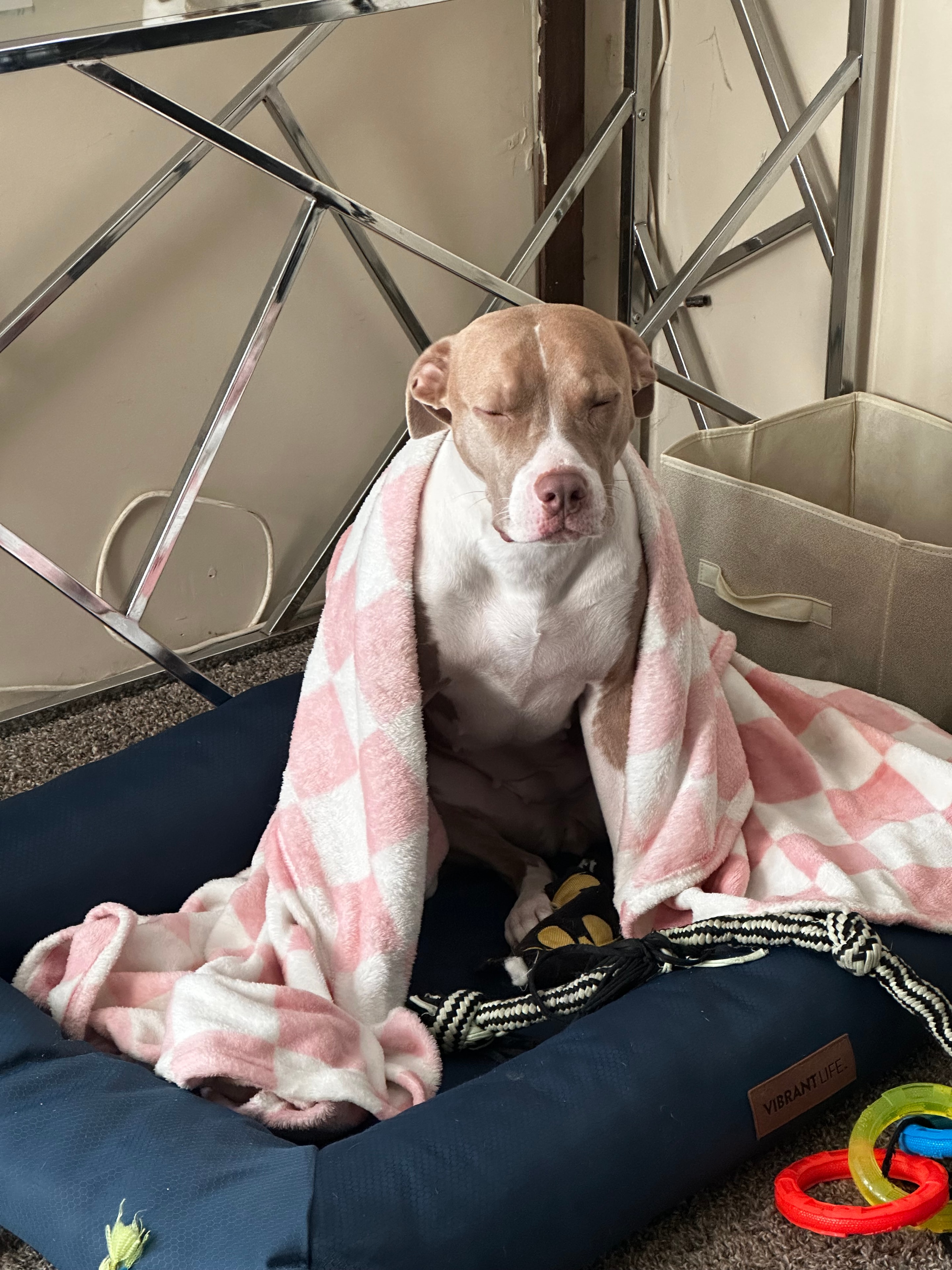 Nyla looking regal and fun