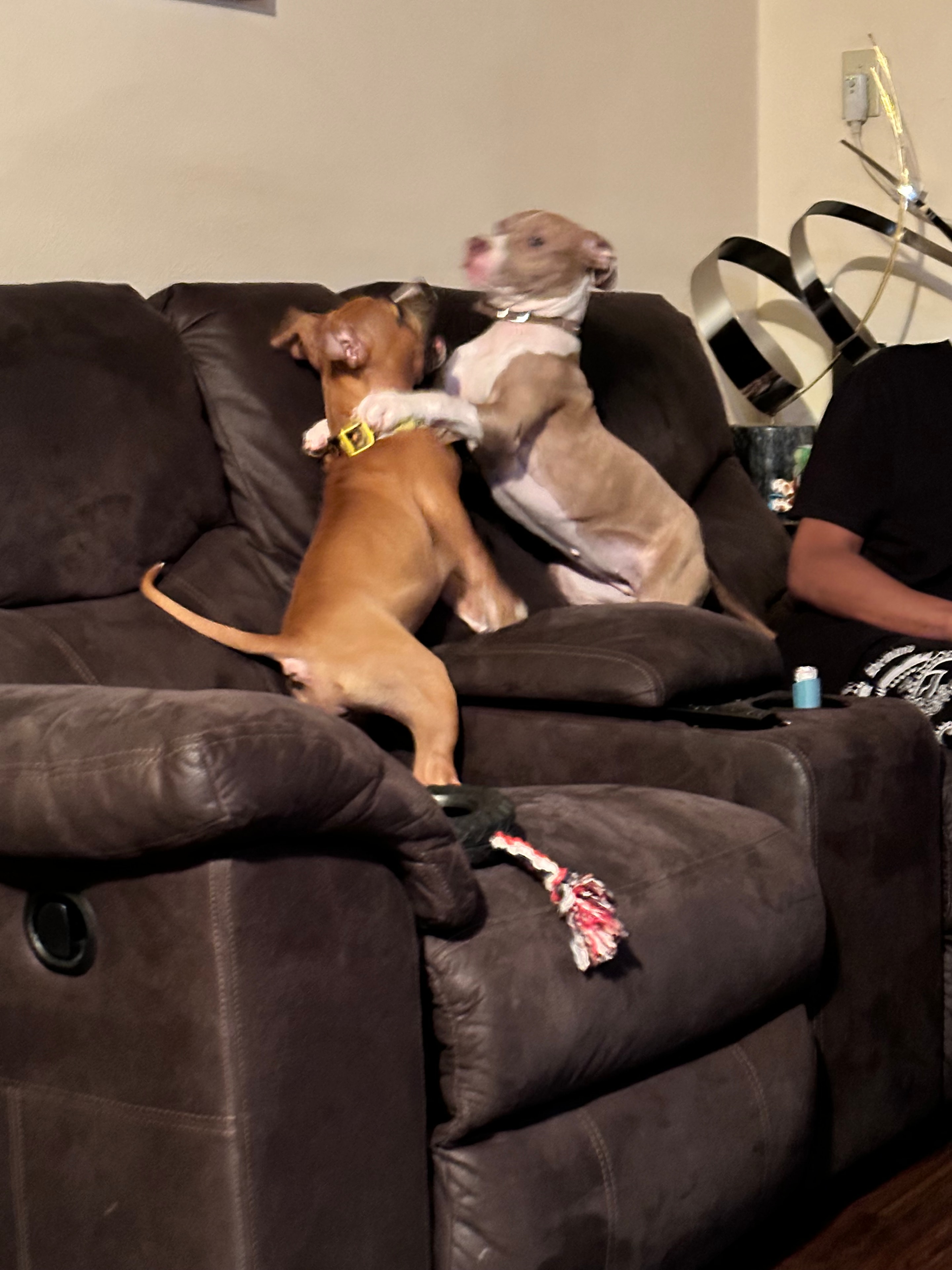 Nyla playing on the couch with a friend