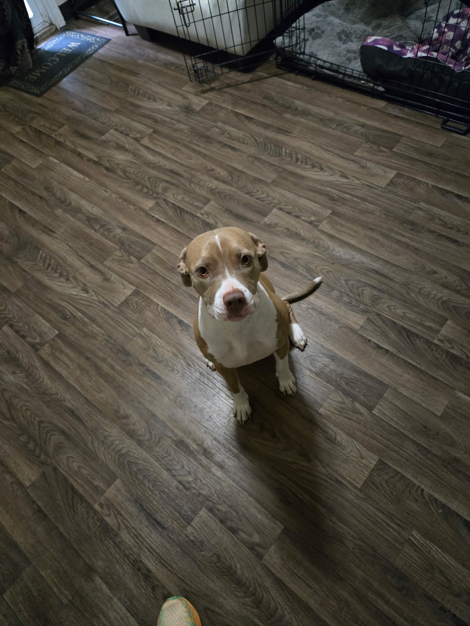 Nyla playing happily