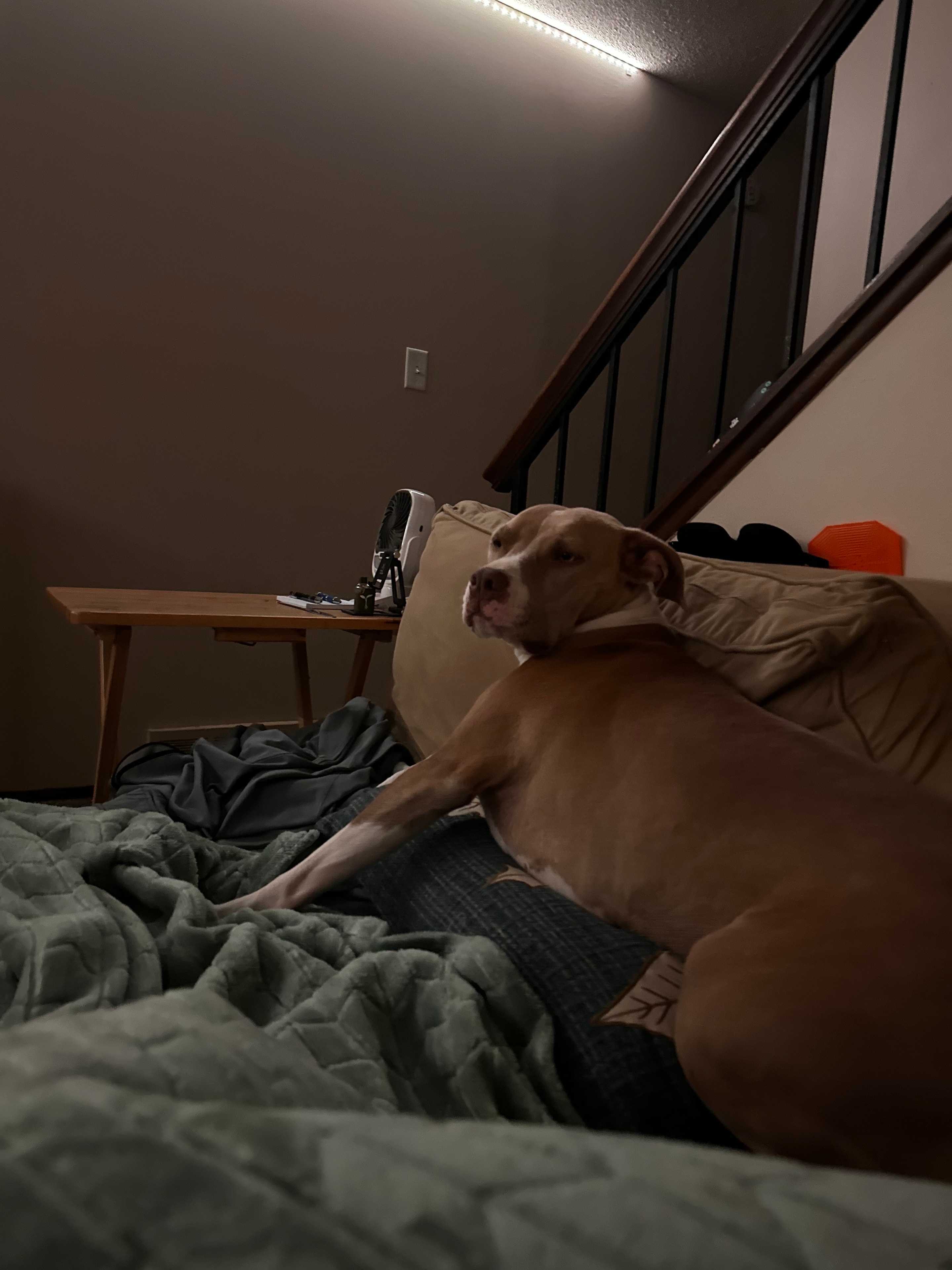 Nyla with her favorite toy